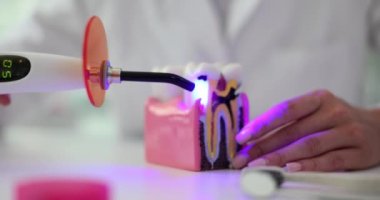 Doktor elinde diş ve dişçi lambası tutuyor. Diş tedavisi