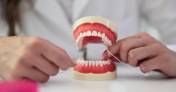 Μοντέλο Σαγονιού Οδοντικό Νήμα Στην Οδοντιατρική Κλινική Από Στόματος Φροντίδα — Αρχείο Βίντεο