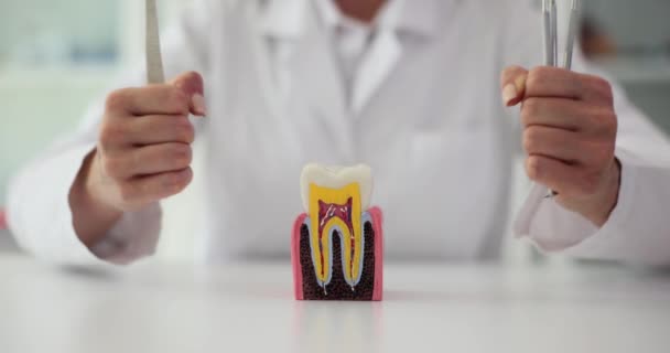 Tandarts Toont Gezonde Tand Gereedschappen Voor Tandheelkundige Zorg Doctor Legt — Stockvideo