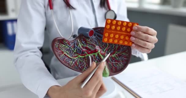 Doctor Holds Pills Shows Mock Human Liver Vitamins Cures Liver – Stock-video