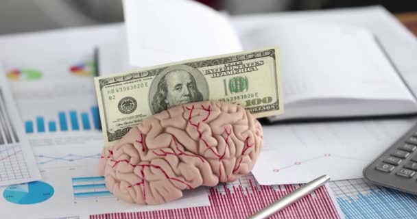 Una Maqueta Del Cerebro Humano Con Billete Cien Dólares Con — Vídeos de Stock