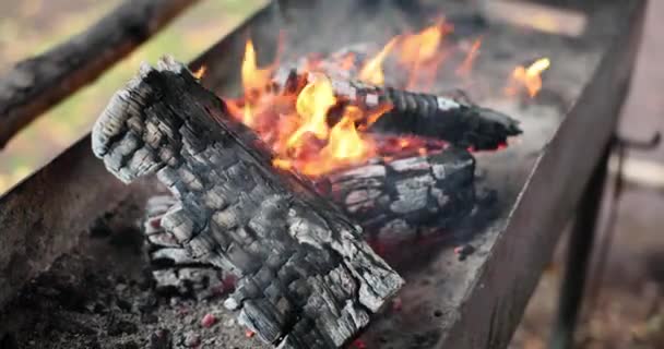 Legna Ardere Viene Bruciata Braciere Ottenere Carboni Cucinare Carne Griglia — Video Stock