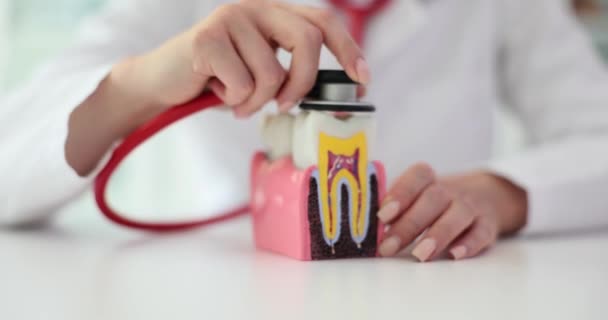 Зуб Стетоскоп Руках Стоматолога Оказания Стоматологической Помощи Медицинская Страховка — стоковое видео