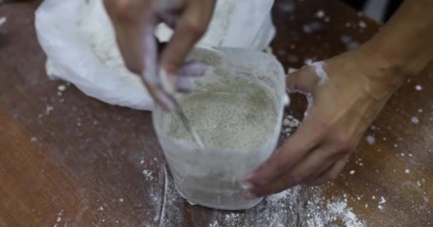 石膏水泥和粘合剂混合在搅拌机中 用于增塑机 石膏粉刷成型 — 图库视频影像