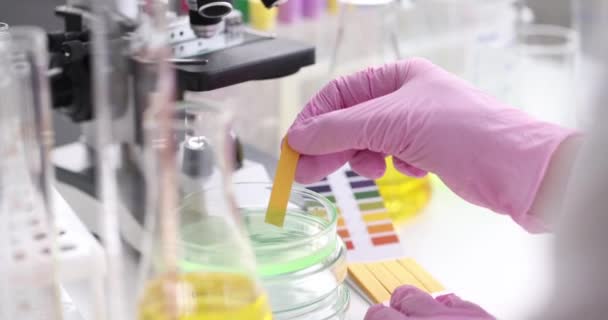 Scientist Chemist Checking Acidity Liquid Petri Dish Using Litmus Paper — Stockvideo