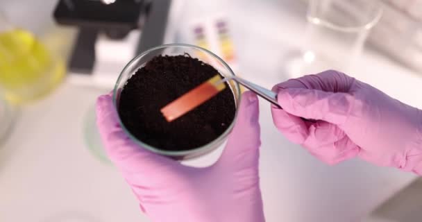 Scientist Chemist Inserting Litmus Paper Petri Dish Soil Laboratory Closeup — Stockvideo
