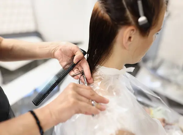 Hairdresser cuts cut ends of hair in beauty salon. Wet hair and hair care