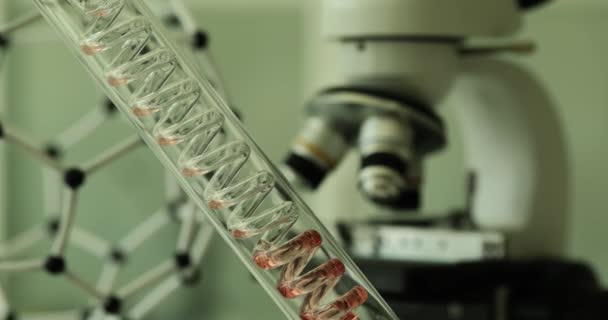顕微鏡に対する螺旋状のプラスチック管を通って流れる血液液を用いた実験室のセットアップ 実験室での科学実験 血液サンプルの研究 — ストック動画