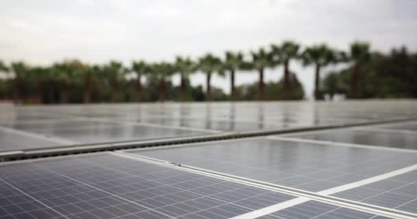 用于农村地区替代能源生产的太阳能电池板系统 保护地球免受全球变暖影响的绿色发电厂 — 图库视频影像
