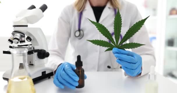 Researcher Holds Serum Cannabis Leaf Laboratory Scientist Holds Experiment Psychoactive — Stock Video