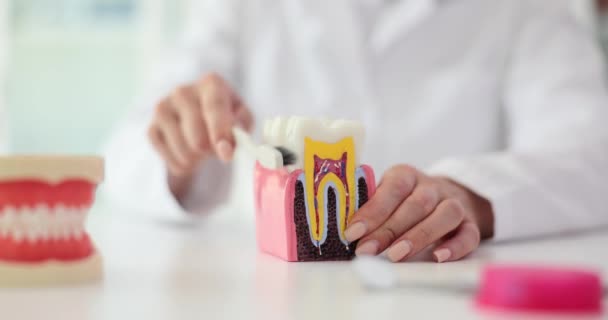 Dentista Limpa Zombar Dente Escova Dentes Higiene Oral — Vídeo de Stock