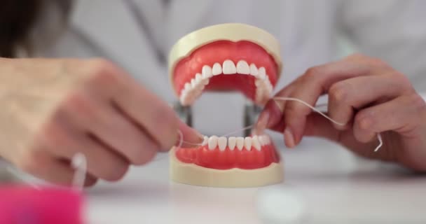 Diş Kliniğinde Diş Ipiyle Çene Modeli Ağız Bakımı Hijyen — Stok video