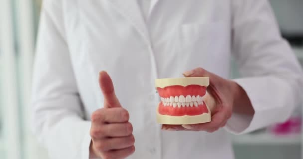 Práticas Odontológicas Trabalham Modelo Dentário Seguram Polegares Para Cima Folheados — Vídeo de Stock