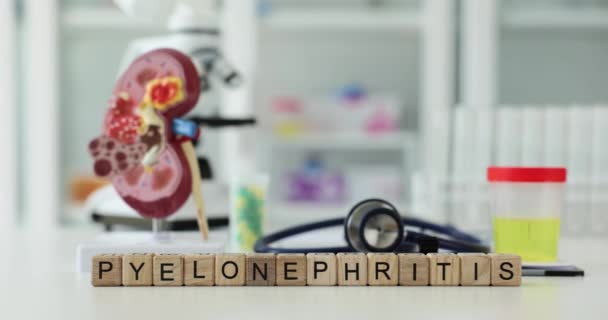 尿分析と人間の腎臓4K映画の人工モデルを用いた瓶の背景にある言葉パイロネプライン炎 尿路システムコンセプトの病気の診断と治療 — ストック動画