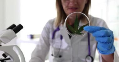 Laboratuvar kapanış filminde elinde marihuana yapraklı petri kabı tutan kadın kimyager. Esrar kavramına dayanan kozmetik ve ilaçların yasal üretimi