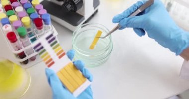 Biyolog laboratuvarda kimyasal alkalin analiziyle PH testini kontrol ediyor. Biyoteknoloji ve tıp konsepti.