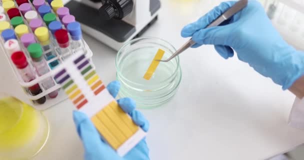 Biólogo Verifica Teste Pela Análise Alcalina Química Laboratório Conceito Biotecnologia — Vídeo de Stock
