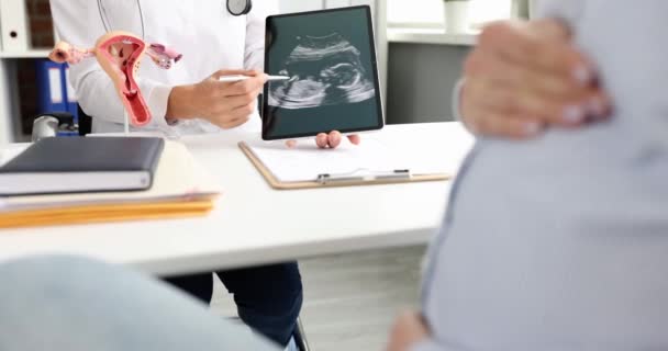 Gynekolog Ukazuje Výsledky Ultrazvukového Vyšetření Dítěte Těhotné Ženě Lékařské Prohlídce — Stock video