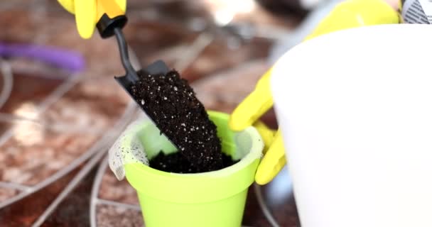 园丁用铲子把泥土加到花盆里 家庭植物生长 — 图库视频影像