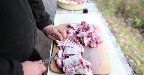 観光客の肋骨肉をナイフで切った 自然の中で調理し 魚のケバブスライス — ストック動画