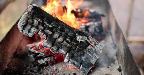 Brûler Bois Trouve Dans Brasero Brûle Concept Flamme Gril — Video