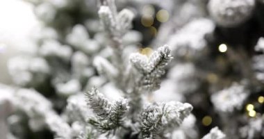 Noel ve yılbaşı ışıkları olan Noel ağacı. Noel arkaplanı