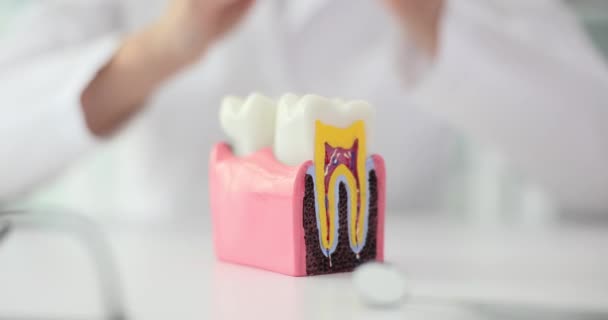 Mão Assistência Odontológica Médica Dentista Modelo Branco Dente Saudável Clareamento — Vídeo de Stock