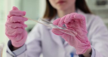 Doktor laboratuarda tıbbi eldivenlerle test tüpü ve pamuk çubuğu tutuyor. DNA uzmanlığı genetik mühendisliği