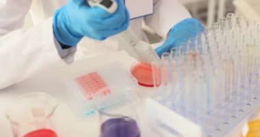 Kırmızı sıvılı bir sürü numune kutusu. Kimyager, pipeti kullanarak sıvı madde örnekleriyle test tüplerine bir reaktör düşürür.