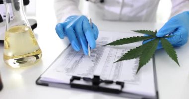 Bilimadamı laboratuvarda çalışır ve marihuana ve yağları inceler. Tıbbi esrar araştırması