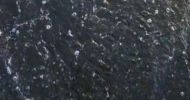 Kelime savaşı kumsalda yazılır ve sudan silinir. Askeri saldırganlık ve ölüm