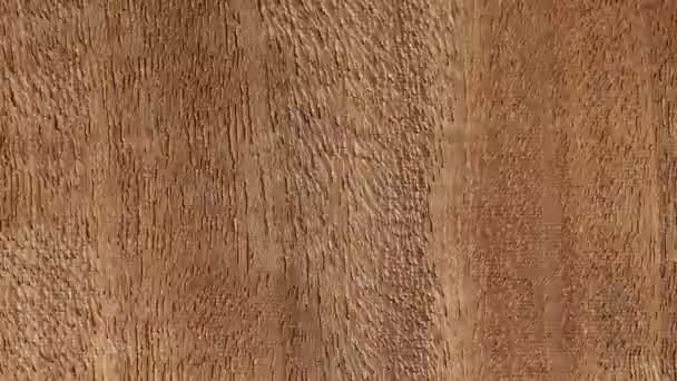 Різні Типи Дерев Яних Дощок Прострочені Структура Дерев Яного Фону — стокове відео