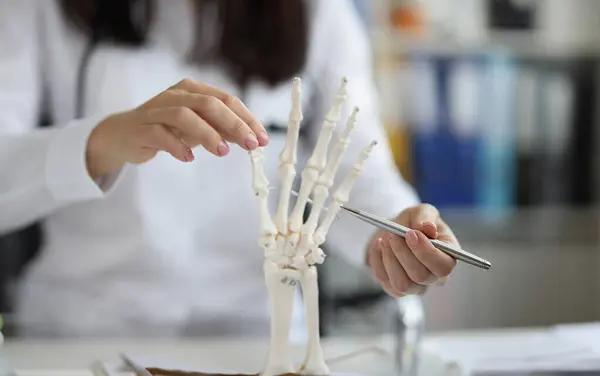 Close-up of female scientist explore human skeleton hand model, laboratory and medical anatomy science. Knowledge, education, lecture, biology, lab concept