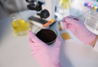 Araştırmacıların yakın çekimleri küçük cam şişeyi toprakla tutarak ph test şeridi yapıyor. Botanik alanında bilimsel araştırma. Bilim, biyoloji, test, laboratuvar kavramı