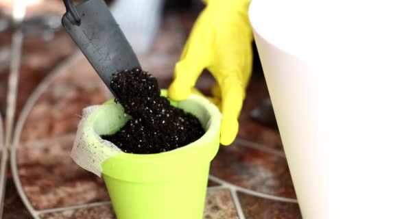 Kertész Öntés Föld Pot Spatula Closeup Film Lassított Felvétel Házisertek — Stock videók