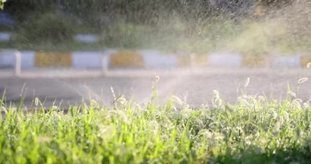 Trickles Water Flowing Out Lawn Irrigation System Movie Slow Motion — ストック動画