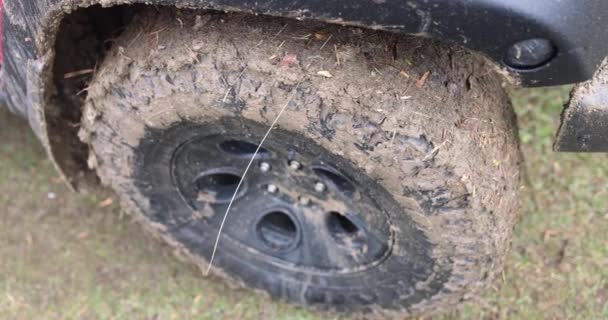 森林路上肮脏的Suv车轮越野和泥巴吉普车之旅 — 图库视频影像