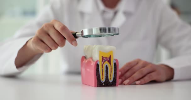 Стоматолог Працює Клініці Збільшувальним Склом Зубами Лікування Зубів — стокове відео