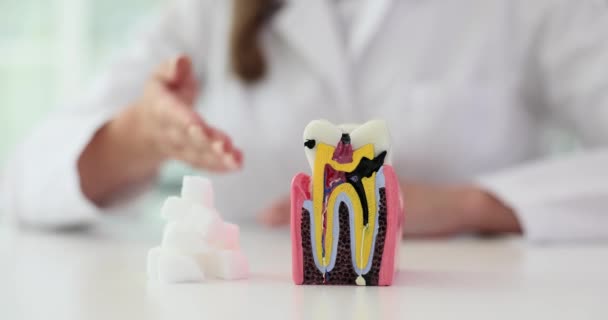 Cukr Ničí Zubní Sklovinu Vede Zubním Kazu Kostky Cukru Zub — Stock video