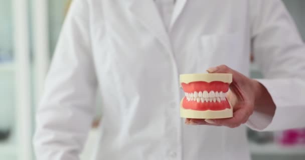 Tandläkare Håller Modell Tänder Och Visar Tummen Upp Tandvård Och — Stockvideo