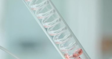 İçinde spiral olan şişe ve tüp ve kırmızı sıvının kimyasal reaksiyonları. Enerji ve kırmızı sıvı sarmal olarak mataraya akar.