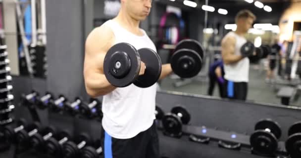 Apto Musculoso Homem Está Treinando Com Halteres Pesados Ginásio Treinamento — Vídeo de Stock