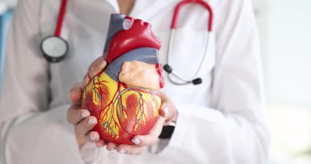 彼の手で人工的なプラスチック人間の心臓を保持する医師は 4K映画のスローモーションを閉じます 医学教育コンセプト — ストック動画
