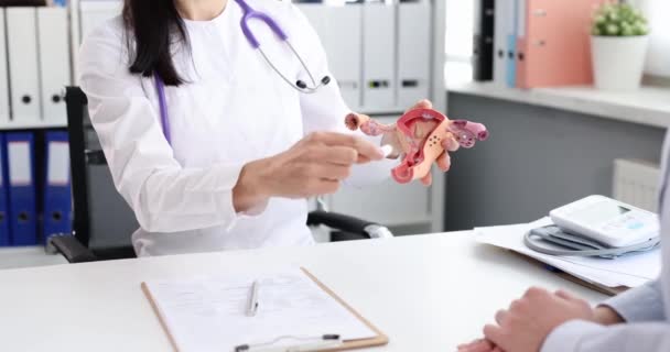 Gynekolog Visar Patienten Hur Man Sätter Tampong Artificiell Modell Livmoder — Stockvideo