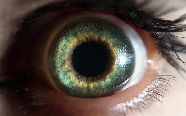 Macro photography of green beautiful bright eye of woman closeup. Laser vision correction concept