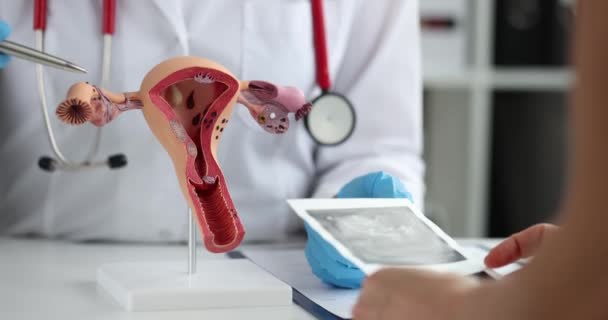 Examination Woman Health Uterus Ovaries Gynecology Female Reproductive System Pregnancy — Vídeos de Stock