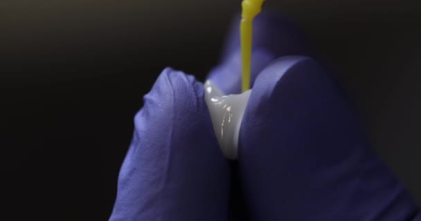Οδοντίατρος Καθαρίζει Μοντέλο Καπλαμά Δοντιών Μικρό Πινέλο Αποκατάσταση Δοντιών Και — Αρχείο Βίντεο