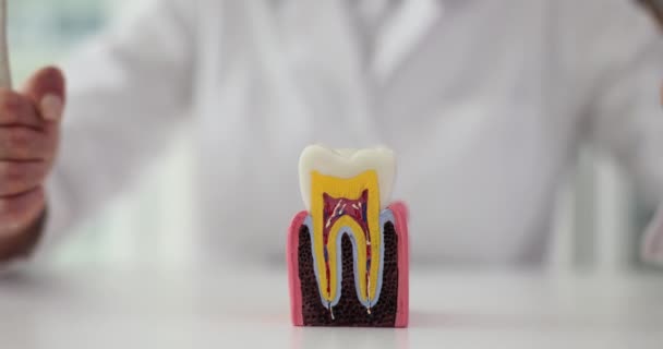 Conjunto Vários Instrumentos Dentários Dentaduras Com Escova Dentes Nas Mãos — Vídeo de Stock