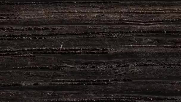 木材タイムの異なる種類のシート 木材種の木材構造について — ストック動画