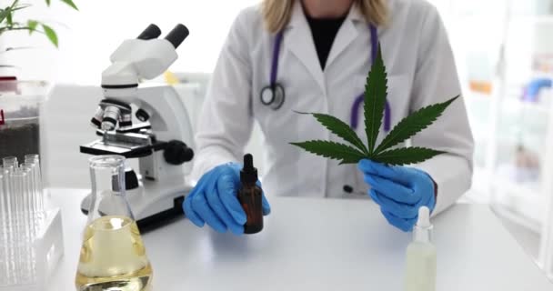 Scientific Research Laboratory Medical Marijuana Green Cannabis Plants Oils Cannabidiol — Stock Video